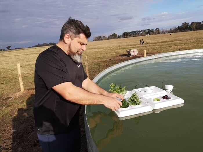 La escuela tiene proyectos de hidroponía y acuaponía, los cuales no utilizan la tierra como soporte. (Foto: GCBA)