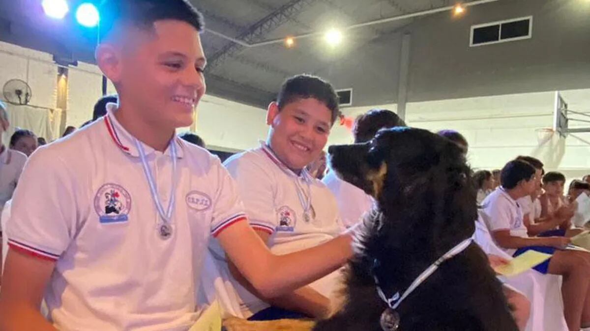 “La Negrita”, una pequeña perrita recibió una medalla para ser recordada por su paso en la escuela primaria. Gentileza