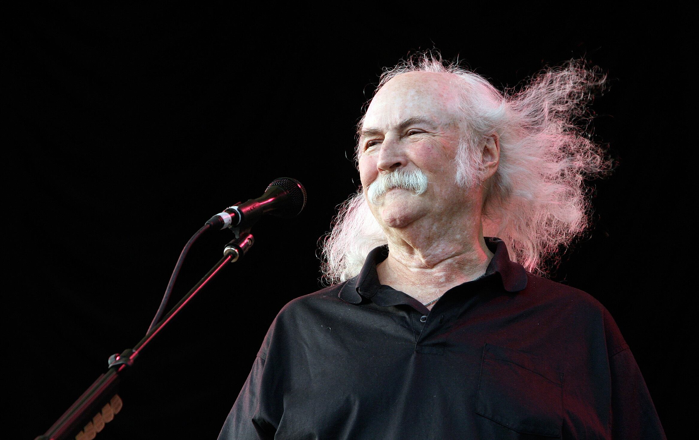 David Crosby en un concierto a beneficio para la City Parks Foundation en 2008 en Nueva York. (AP Photo/Diane Bondareff)