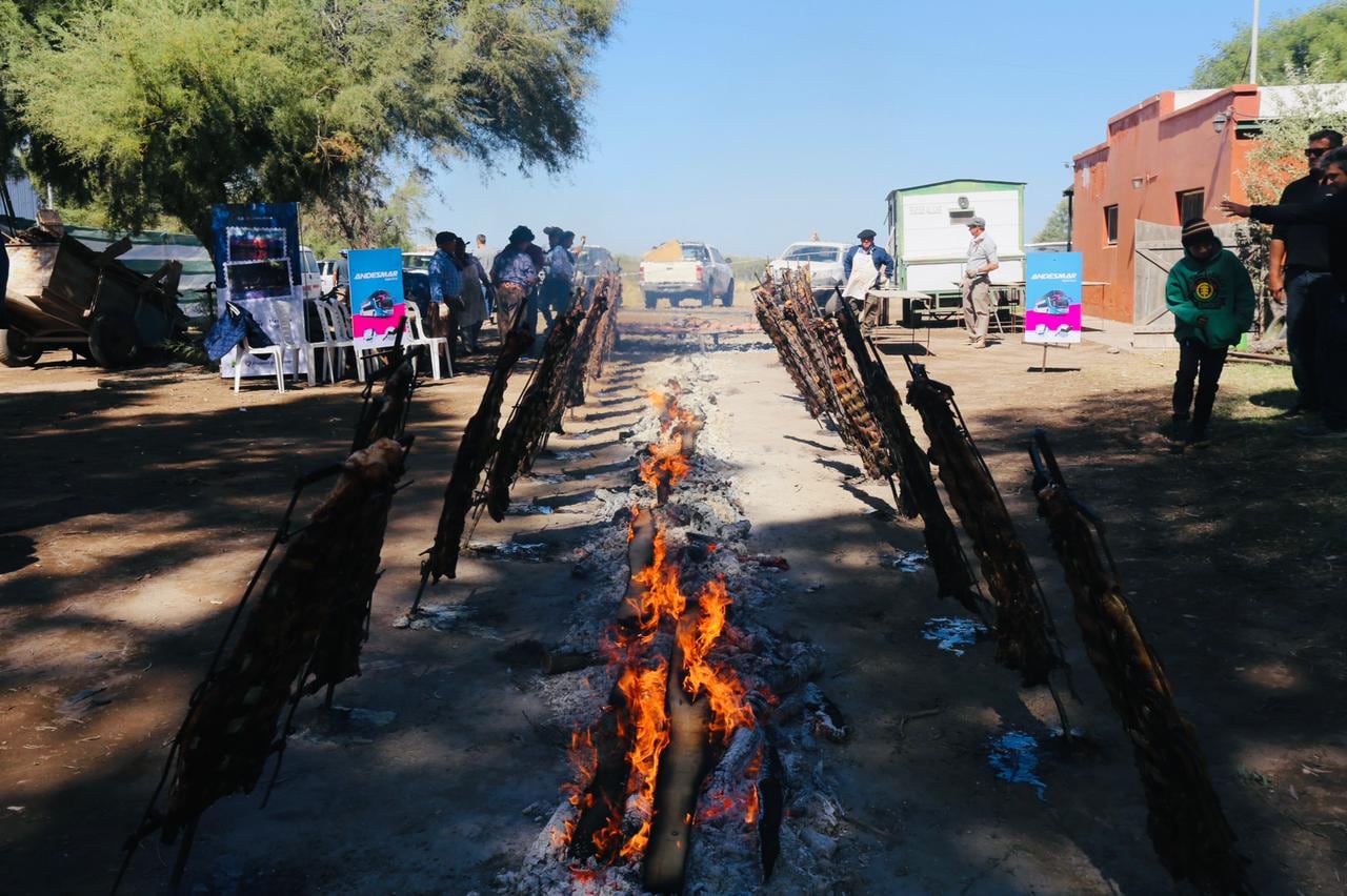 Se realizó el Día de Campo de la Fiesta de la Ganaderia.