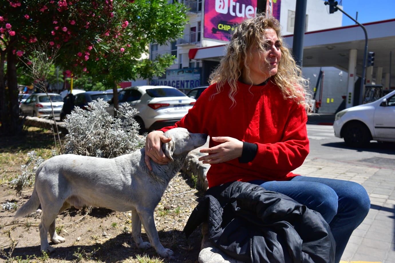 El perrito del Hospital de Urgencias que esperó a su dueño fallecido y que finalmente fue adoptado por una vecina de barrio Pueyrredón. (José Hernández/La Voz)