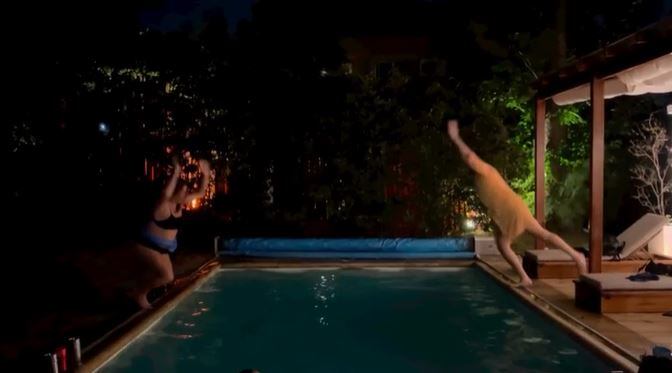 Lizy Tagliani protagonizó una escena en la piscina y lo tomó con humor.