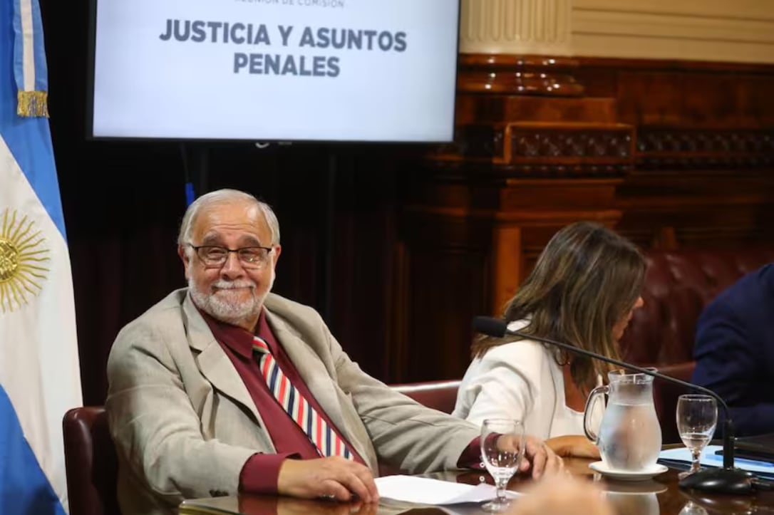 El senador Juan Carlos Pagotto (La Libertad Avanza), en la reunión de comisiones de Asuntos Constitucionales y de Justicia y Asuntos Penales. Foto: La Nación