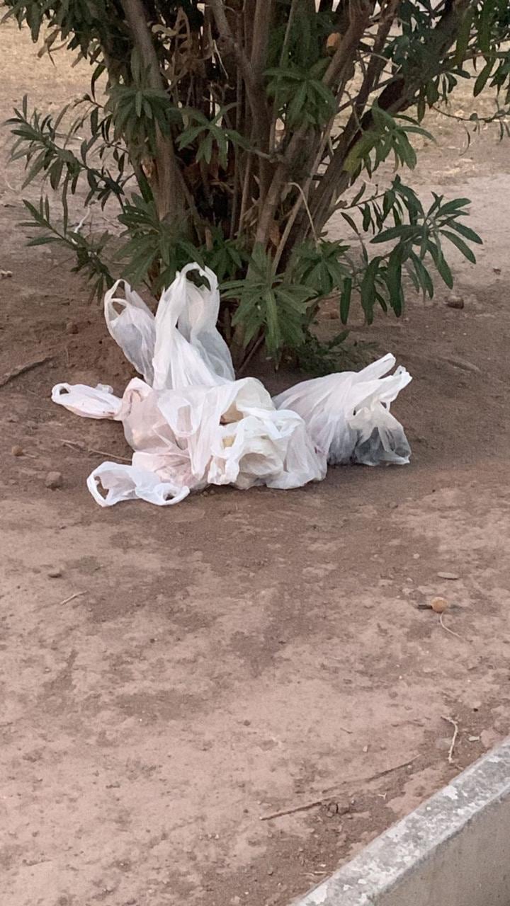 ¿Magia Negra? Temor de vecinos de una plaza de Ciudad donde encuentran animales muertos y pochoclo embolsado. Foto: Gentileza