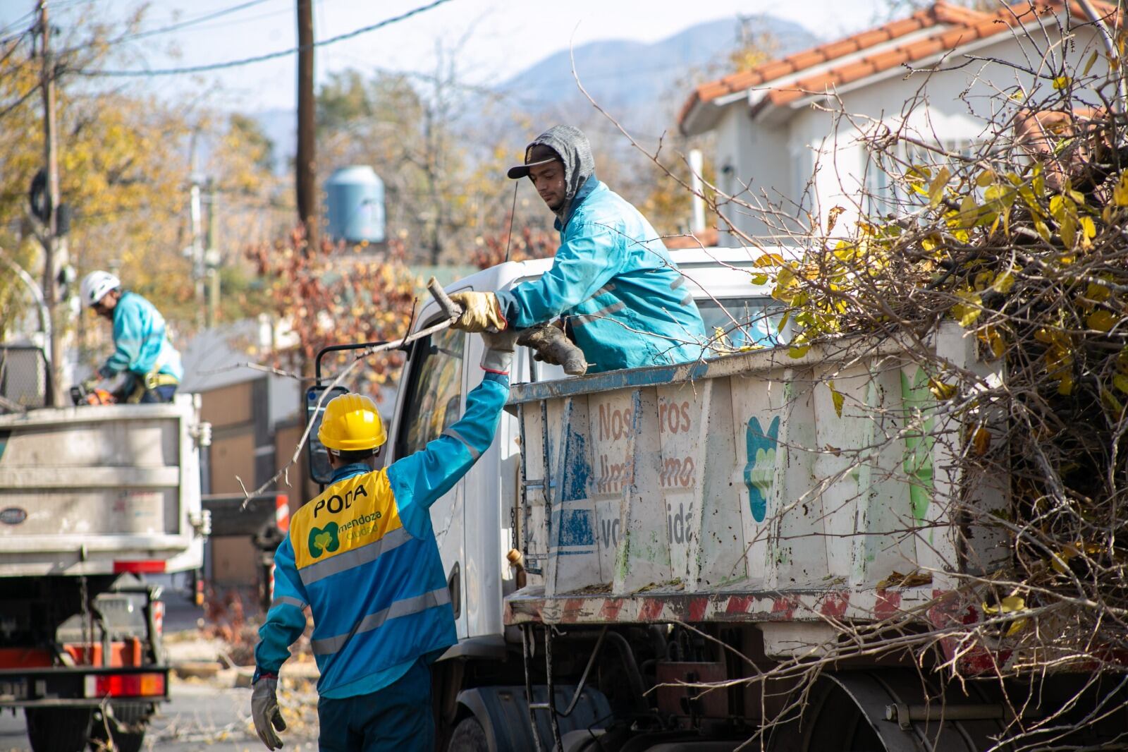 La Ciudad lleva adelante los trabajos de poda de estación.