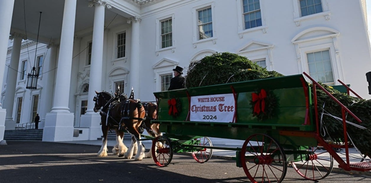 El abeto fue transportado por dos caballos hasta la fachada principal de la mansión presidencial. Foto: Clarín