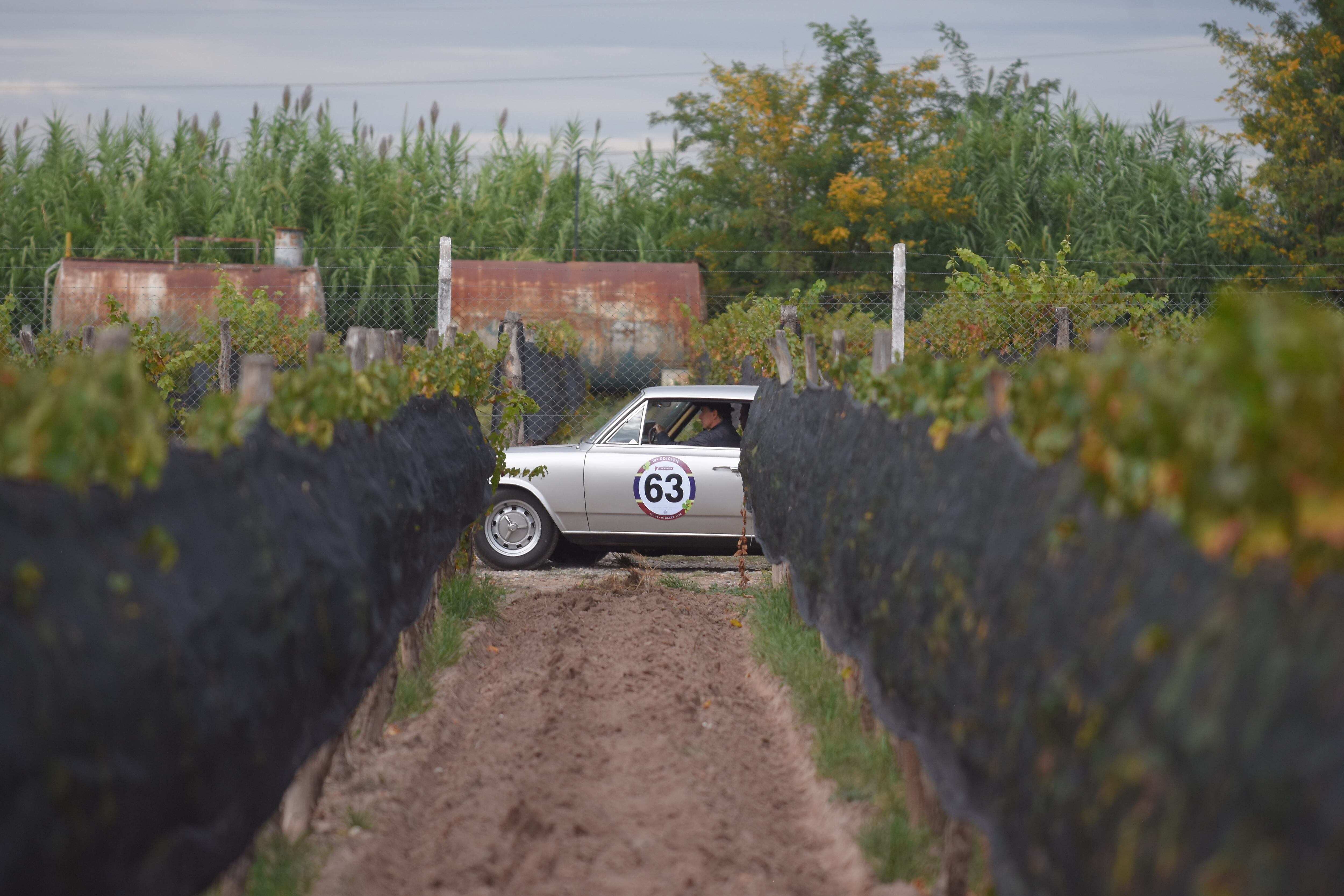 El Rally de las Bodegas está de vuelta en Mendoza reccoriendo imponente paisajes y bodegas