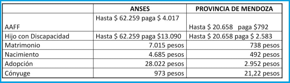 Datos al mes de abril de este año. Las asignaciones nacionales se incrementaron un 12,12% a partir de junio. 