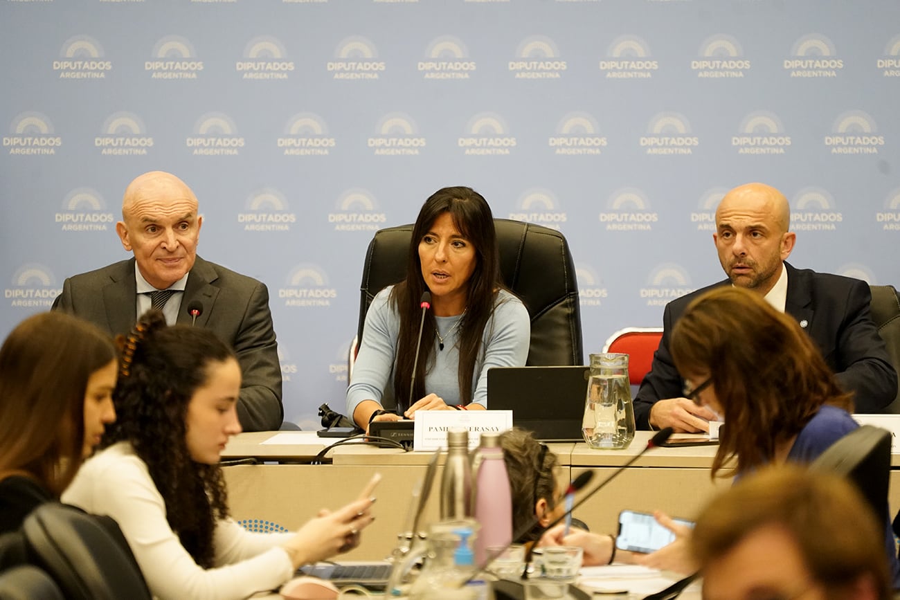 Diputados: discuten la privatización de Aerolíneas en medio de un clima de protesta. (Gentileza Maxi Failla / Clarín)