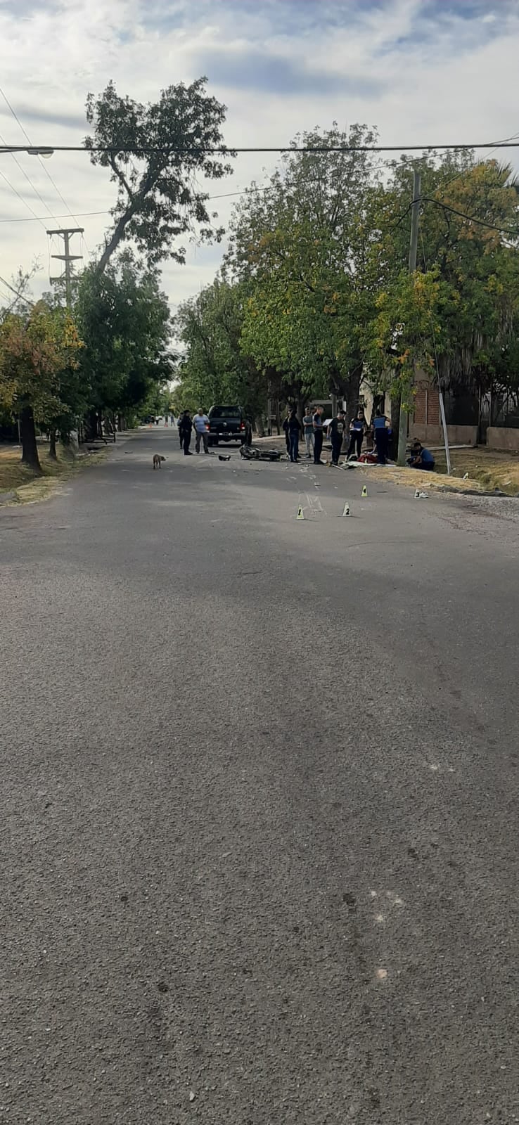 El accidente sureño se produjo esta mañana, engrosando las cifras de muertos de este fin de semana. Gentileza Ministerio de Seguridad.