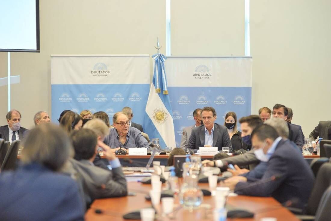 El debate sobre el Presupuesto 2022 ingresó en su segunda jornada (Foto: HCDN)