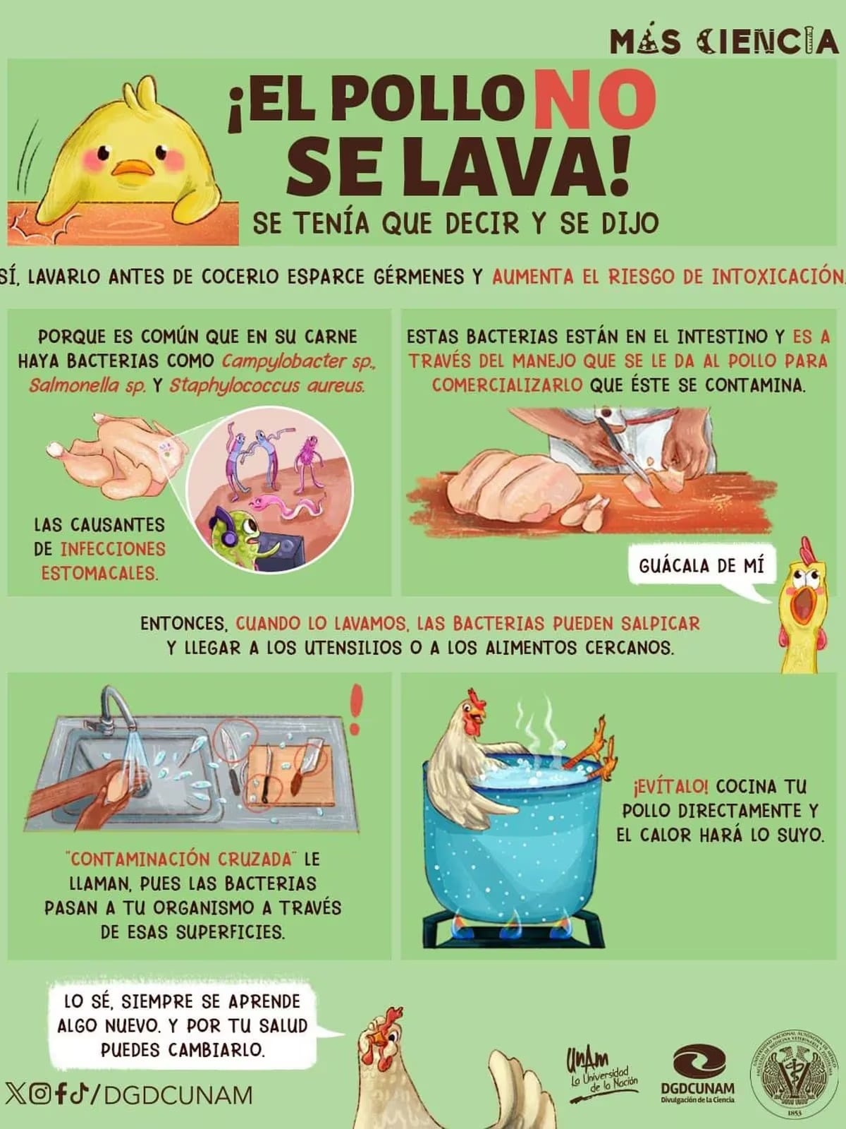 El pollo no se lava: cuando lo lavamos, las bacterias pueden salpicar otras cosas de la cocina (X / DGDCUNAM)