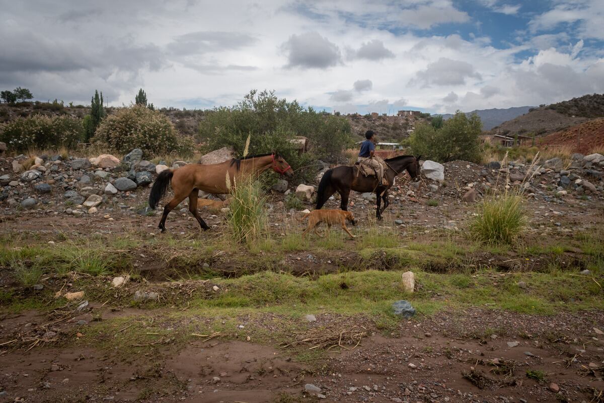 Tragedia en Potrerillos
Tres personas fallecieron y otras dos permanecen internadas en grave estado luego de que una crecida en el Río Blanco (Potrerillos) arrastrara el auto en que viajaban cuando intentaban cruzar un puente en medio de una tormenta. Un grupo de vecinos de la parte alta de Potrerillos salió a cortar la ruta en reclamo de que se construya un puente en altura y se hagan otras obras.

Foto: Ignacio Blanco / Los Andes 