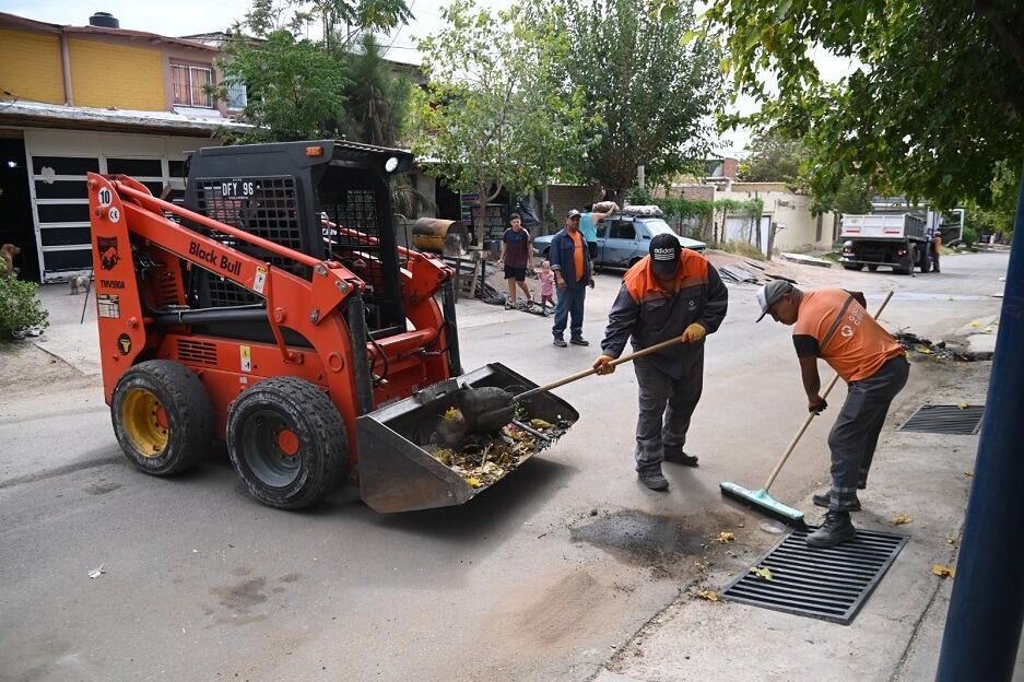 Poda, limpieza y reparaciones del 29 de julio al 2 de agosto