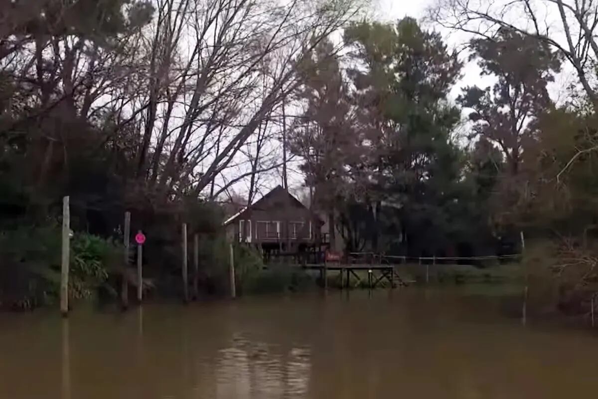 El cocinero tiene una casa en Tigre lejos de todo tumulto.