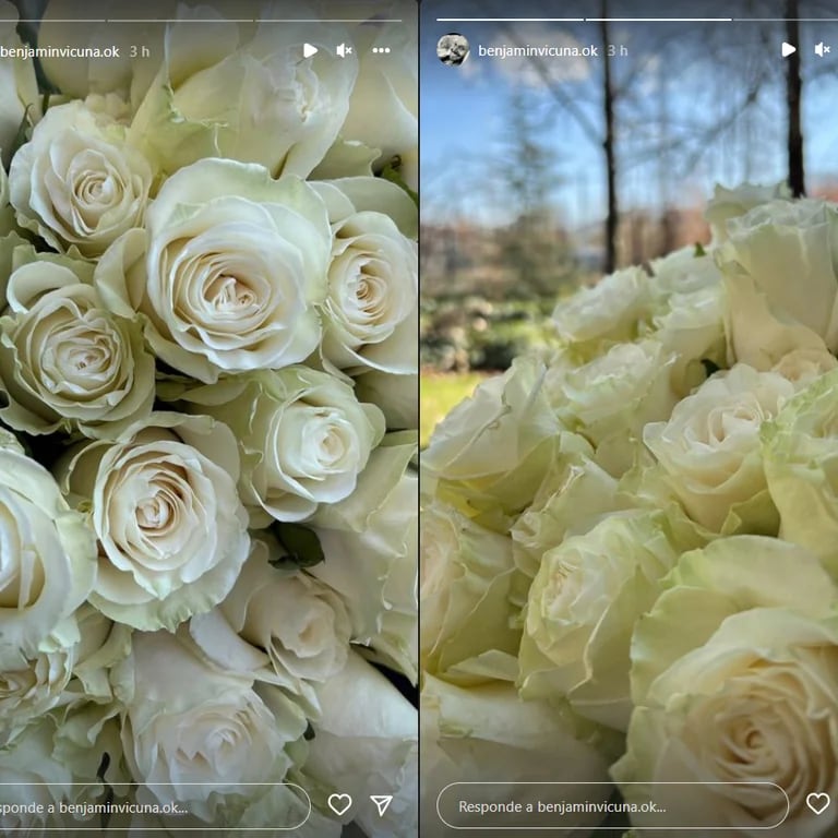 El actor dedicó unas rosas blancas para su niña