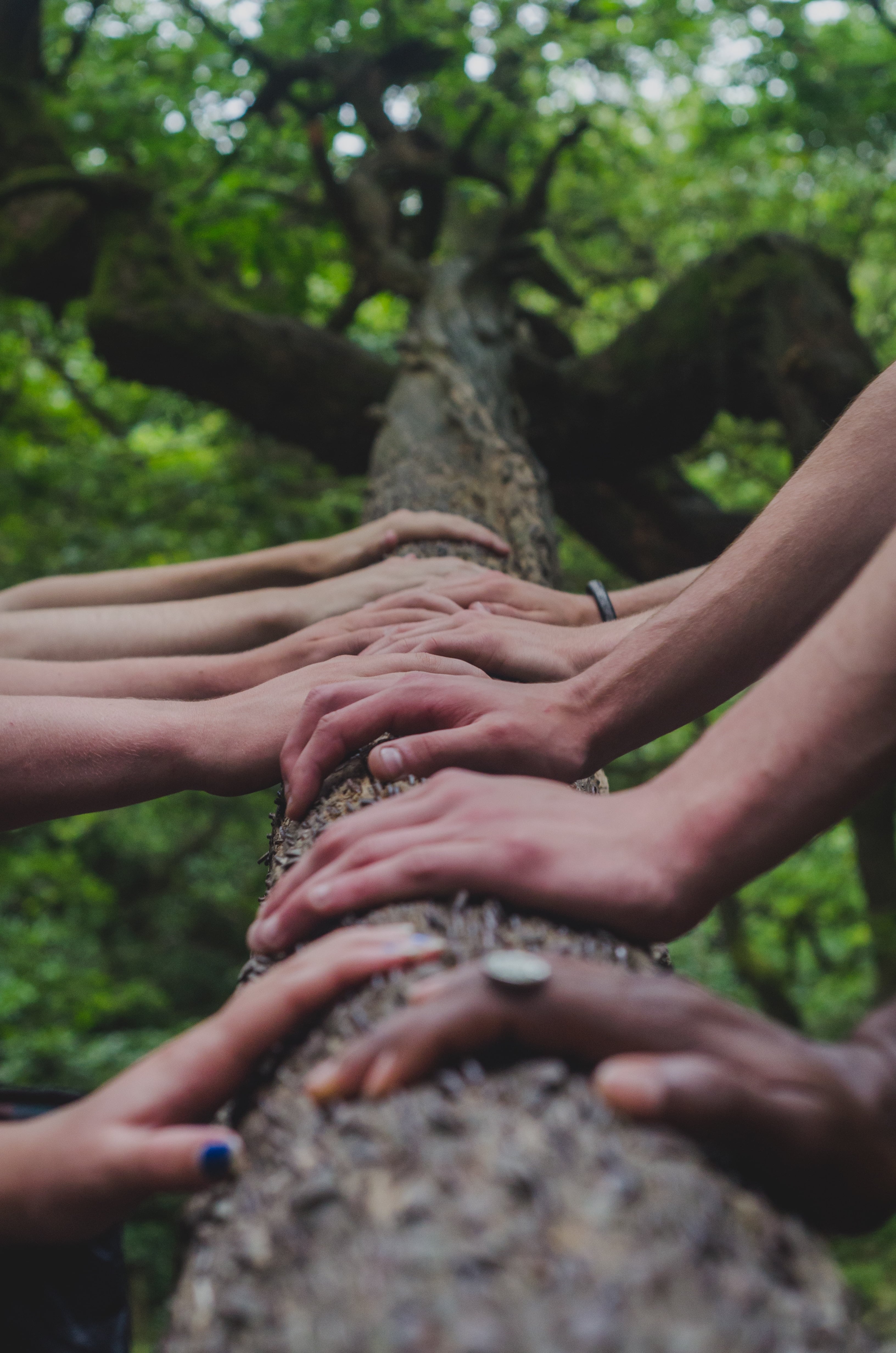 La naturaleza nos invita a reflexionar sobre la existencia y nos conecta con una sensación de trascendencia.