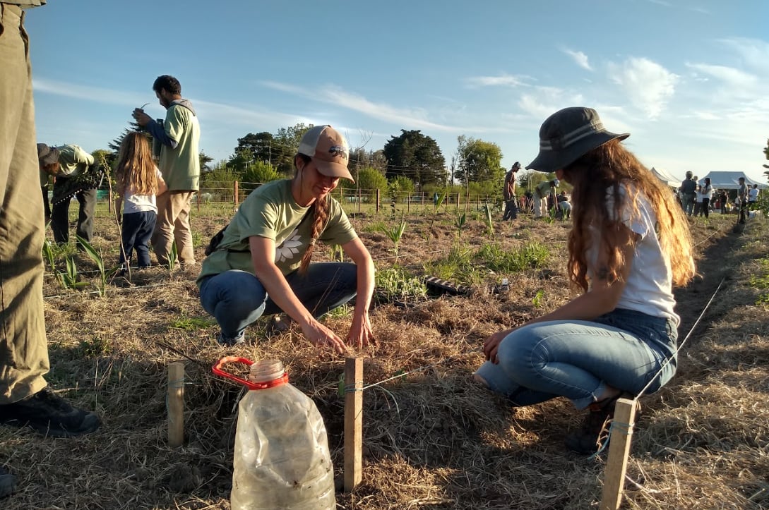 Crearon un módulo experimental y demostrativo de un Sistema Agroforestal