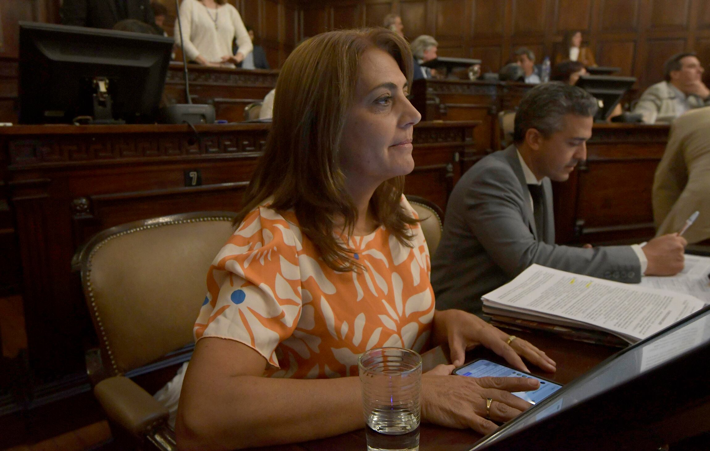 Sesión de la Honorable Cámara de Senadores de Mendoza, en la Legislatura Provincial 
Graciela Lizana
Foto: Orlando Pelichotti