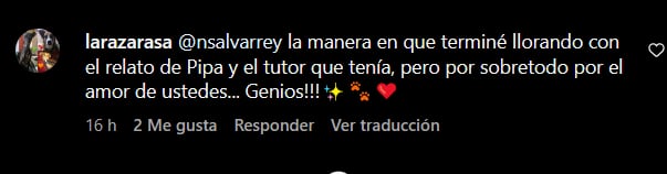 Las redes reaccionaron a la historia de Harry, Pipa y el dueño que apareció después de 6 meses