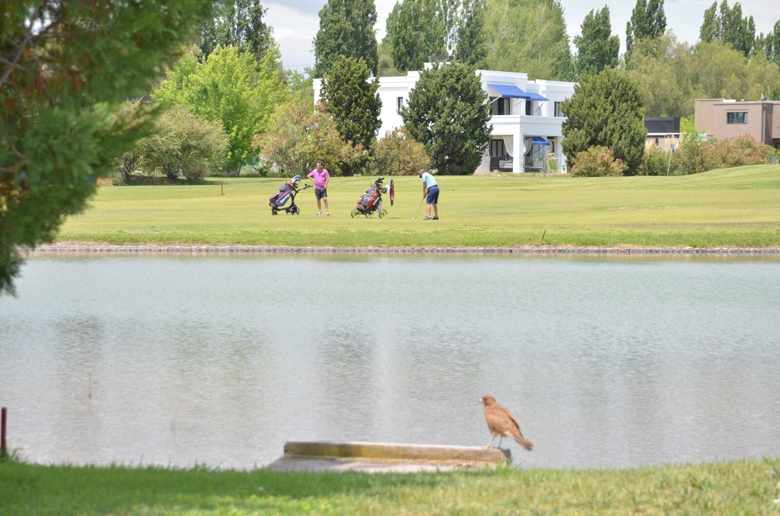 Con el auspicio de Los Andes, en el club de Lunlunta se desarrolló la competencia a 18 hoyos Medal Play en la que Luca Moretti fue el mejor con un score gross de 76 golpes. / Gentileza.