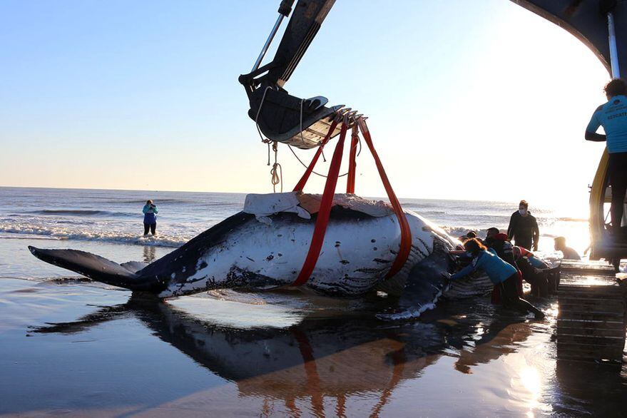 Fotos del rescate del lunes 4 y martes 5 de octubre.