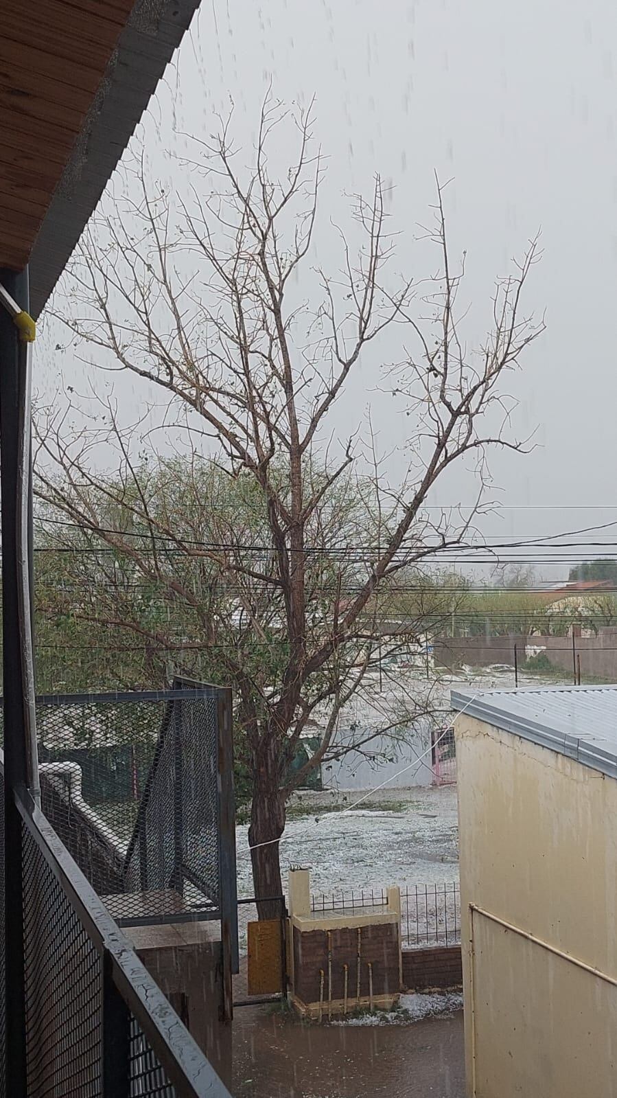 Una fuerte tormenta de lluvia, viento y granizo afectó a varios distritos de San Rafael. Foto: gentileza.