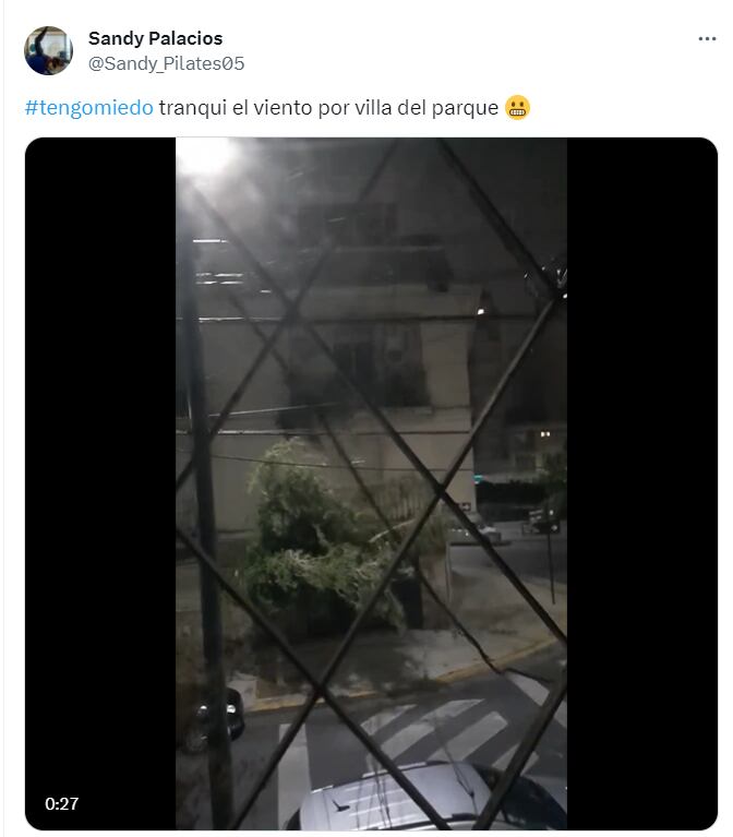 Uno de los hashtags más usados durante el temporal - X