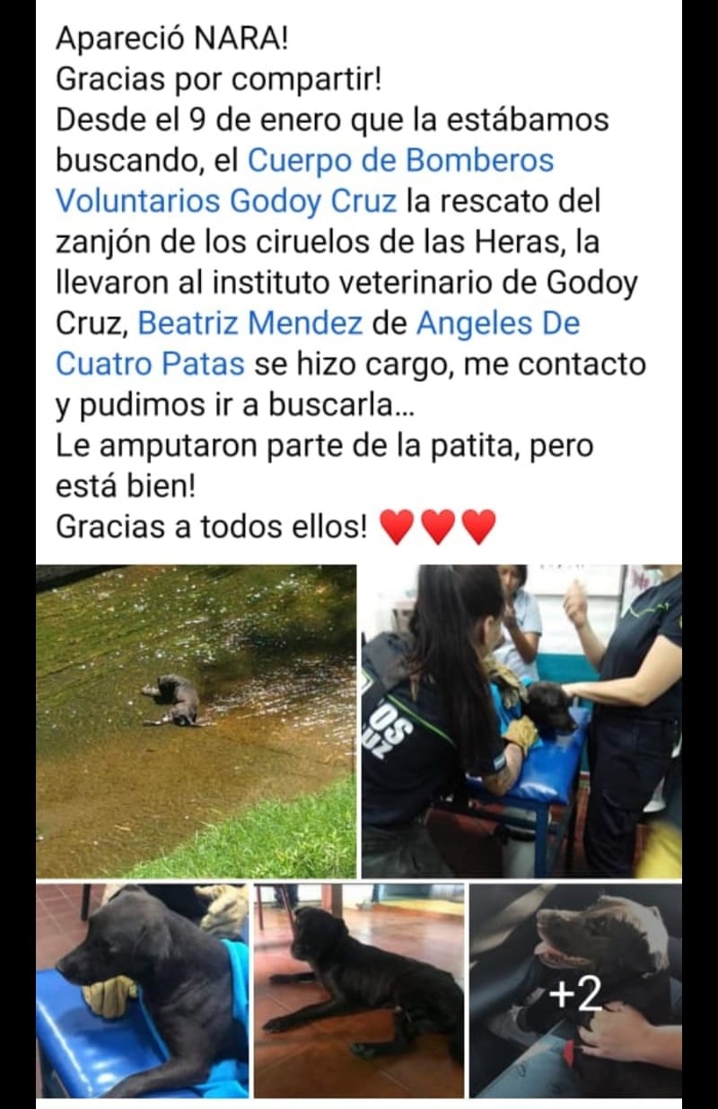 Es bombera, casi pierde su brazo por una bala y le salvó la vida a una perrita coja en un zanjón. Foto: Facebook Bomberos Voluntarios de Godoy Cruz.