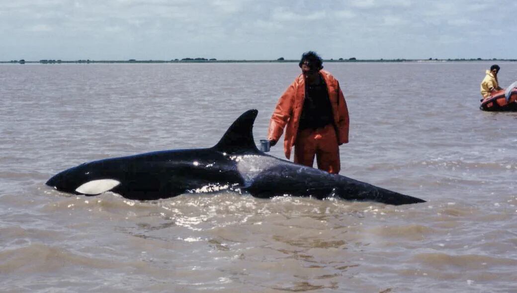 Kshamenk siendo asistido por el equipo de rescate. Año 1992.