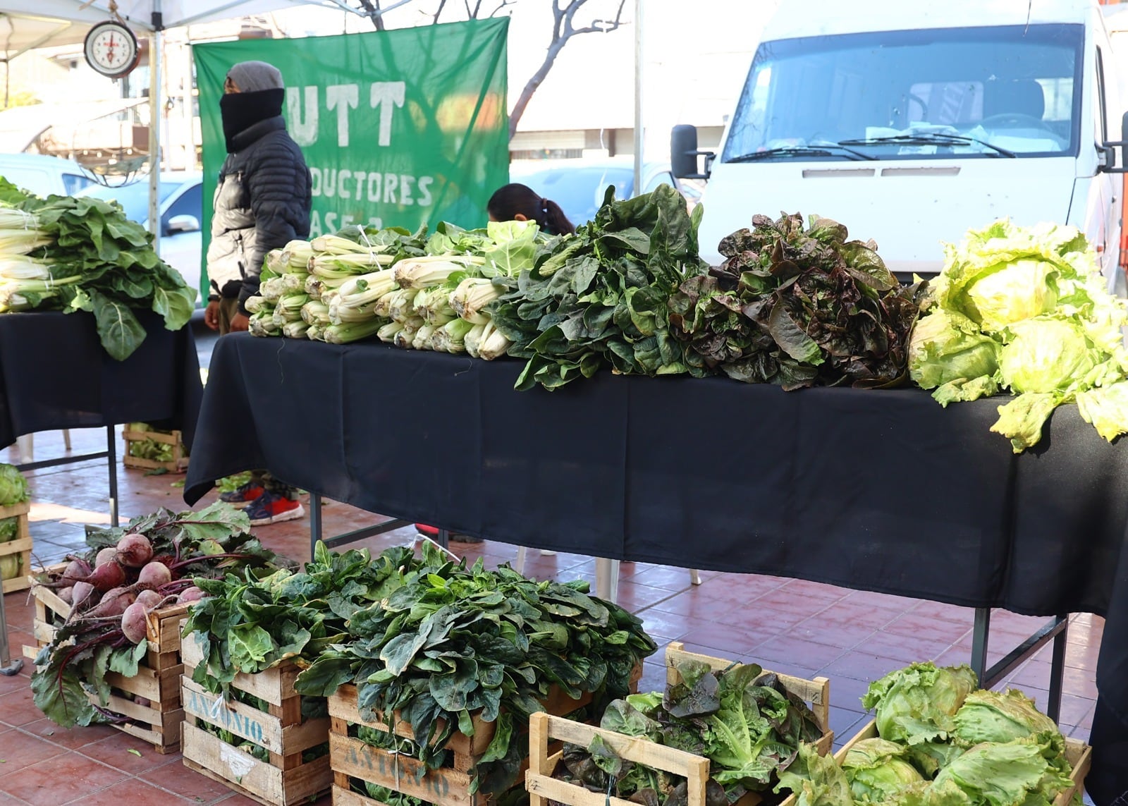 Para fomentar la producción local de comerciantes, Maipú continúa con la “Feria del productor al consumidor”. Quienes quieran visitar la feria podrán encontrarse con ofertas de frutas, verduras y otros alimentos a bajo costo a partir de las 9.30 hs hasta las 18 hs en la Estación Gutiérrez.