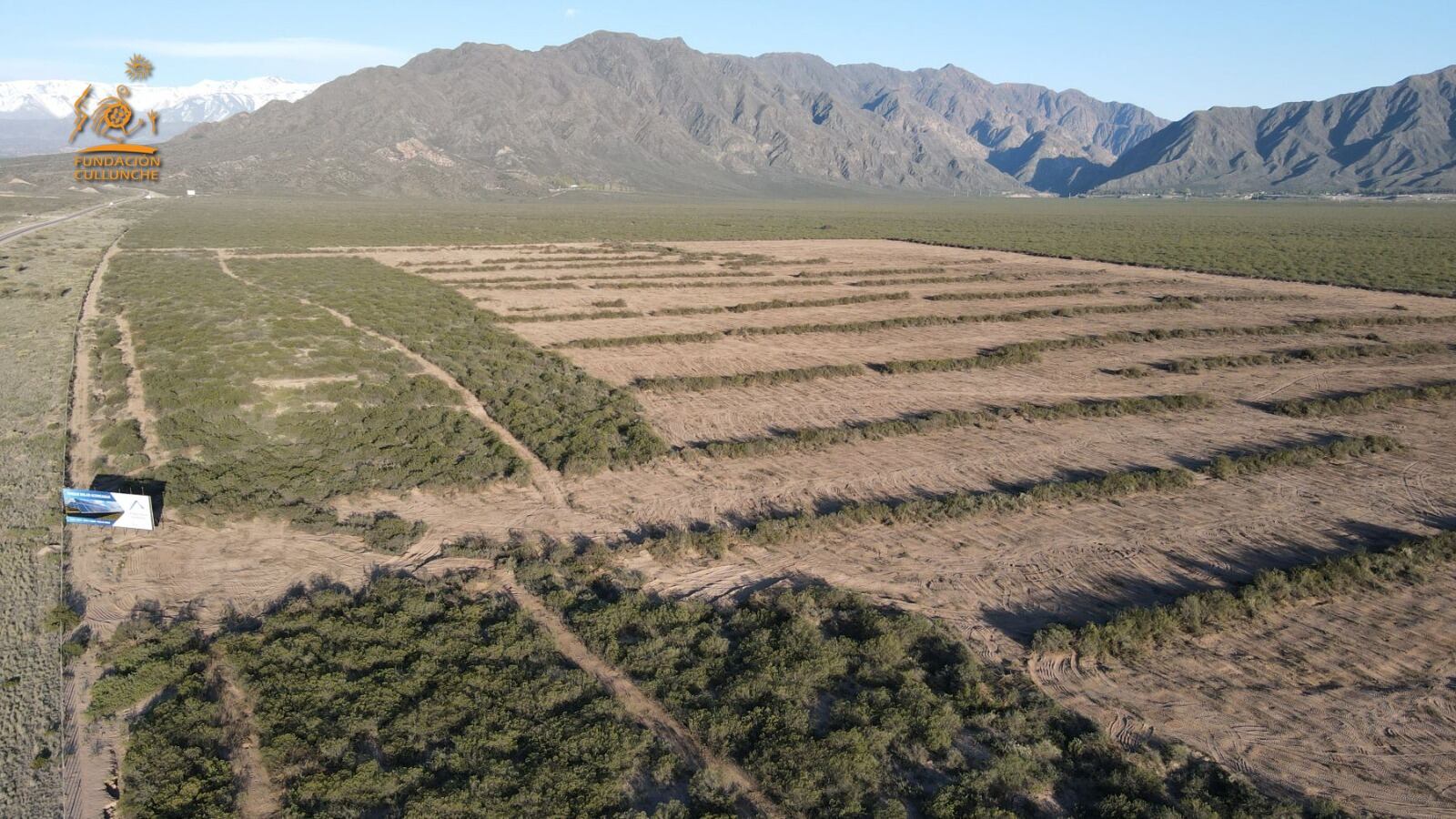 Desmontan hectáreas de jarilla en el piedemonte lujanino y hay acusaciones cruzadas entre una ONG y el Gobierno. Foto: Gentileza Fundación Cullunche