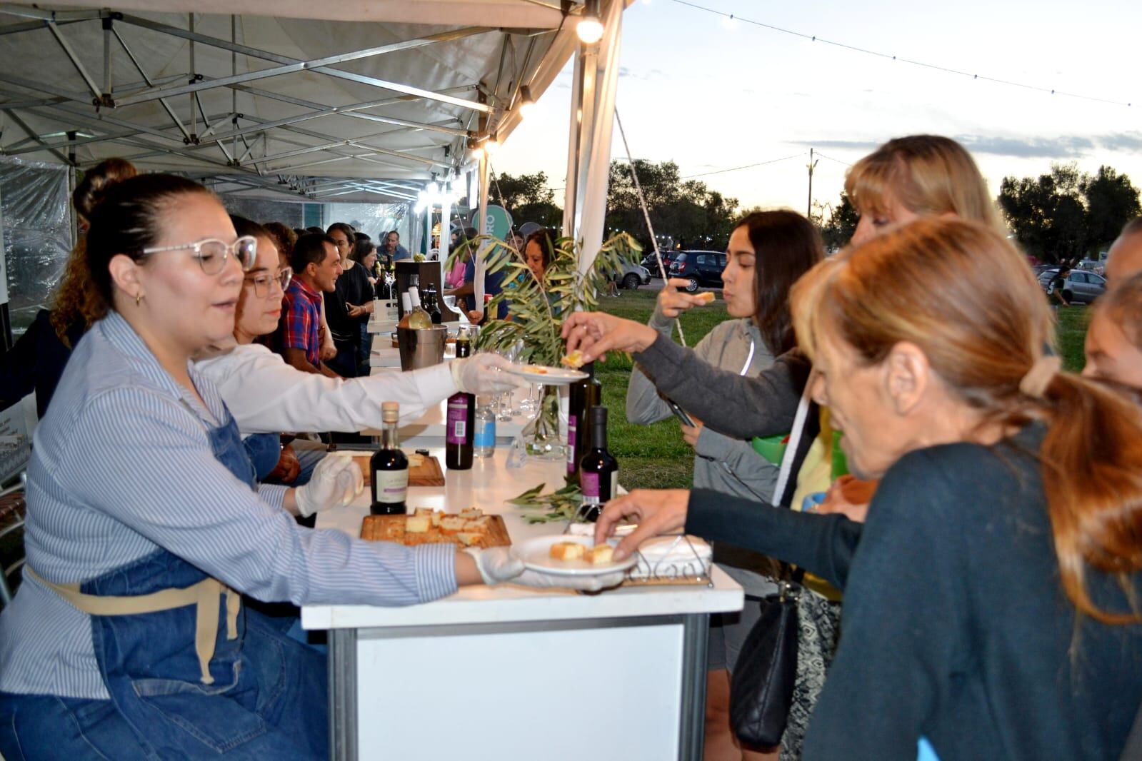 Festival del Malbec y el Olivo en Maipú