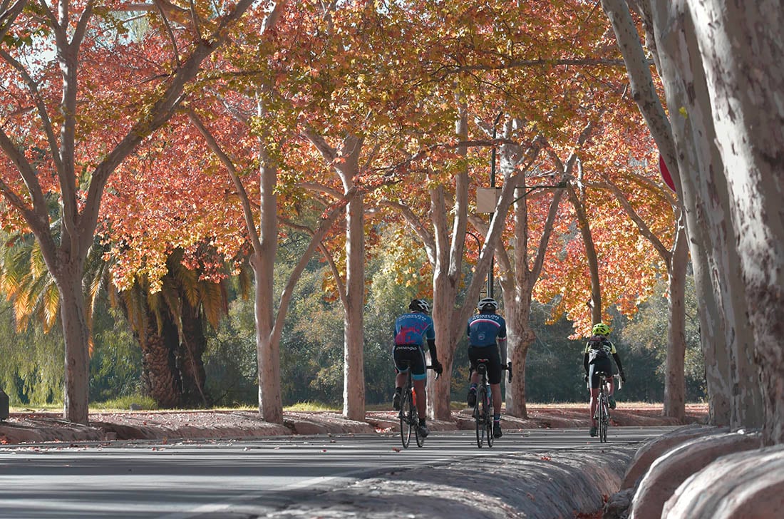 Parque General San Martín, Ciudad de Mendoza.