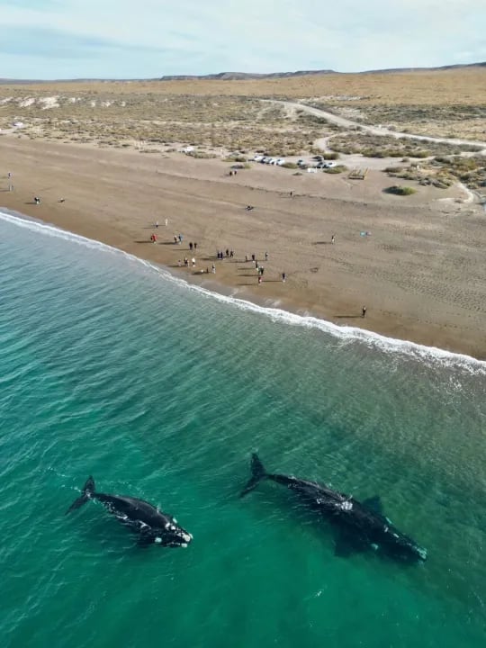 Así es la Playa Las Canteras, en Puerto Madryn