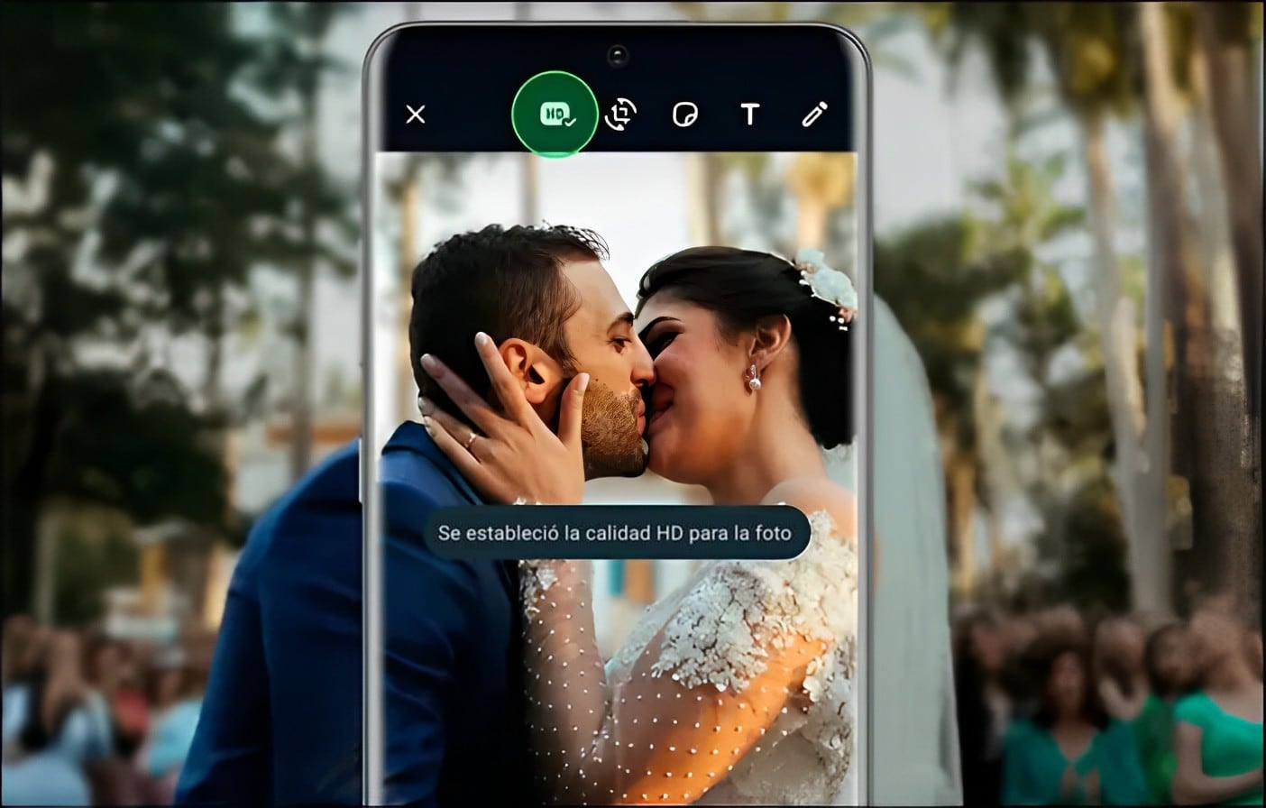Nuevas funciones de la app WhatsApp como imágenes en HD.