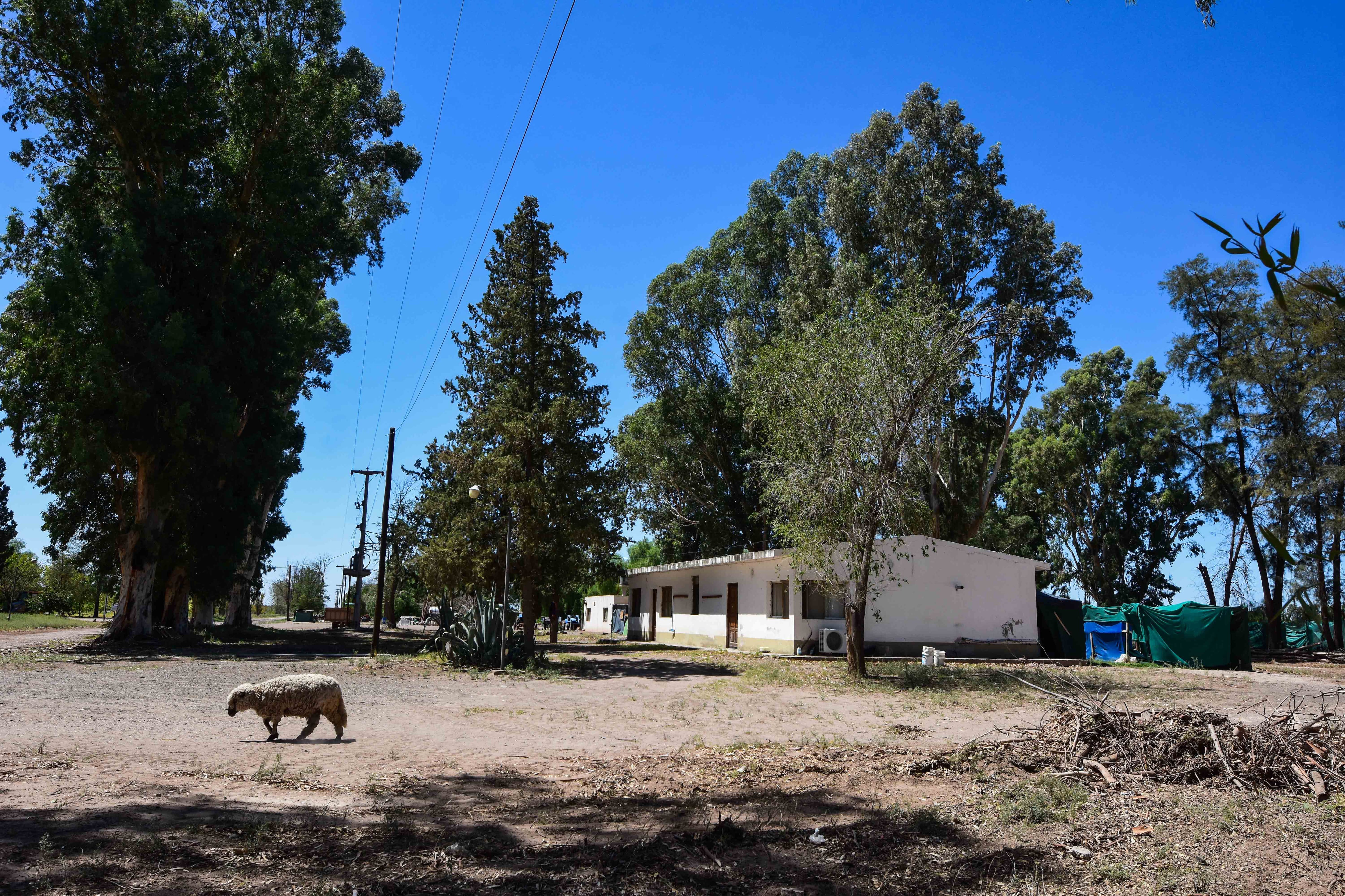 A una semana del femicidio en Nueva California, la comunidad surcoreana vuelve a la normalidad laboral en el complejo donde residen y trabajan

Foto: Mariana Villa / Los Andes