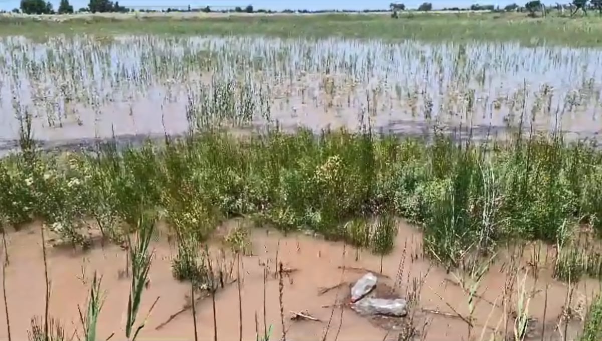 Desoladoras imágenes: una nueva crecida del Río Mendoza que obligó a vecinos de Maipú a evacuar sus casas. Foto: gentileza vecinos Rincón de los Álamos