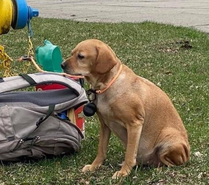 Baby Girl fue abandonada, su historia conmocionó en redes y tuvo un final feliz.