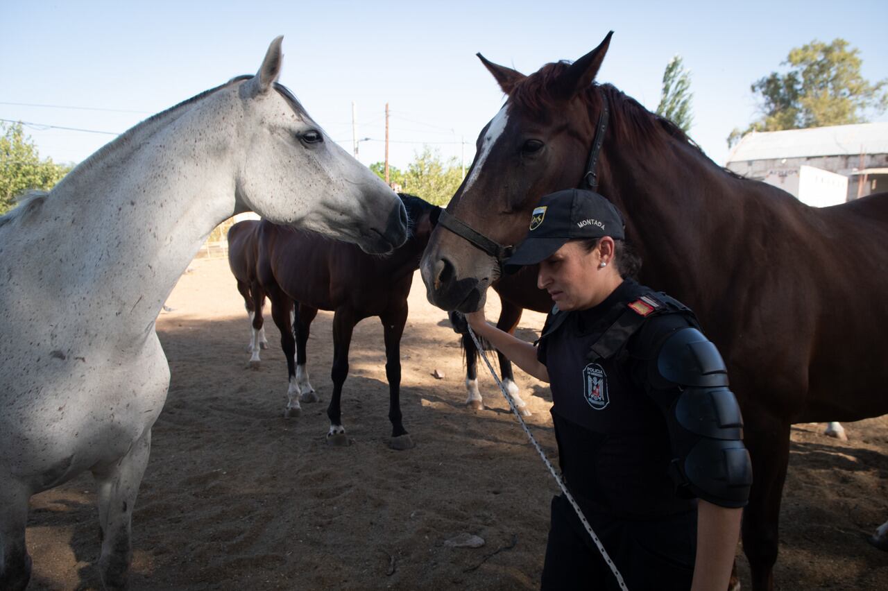 Foto: Ignacio Blanco / Los Andes