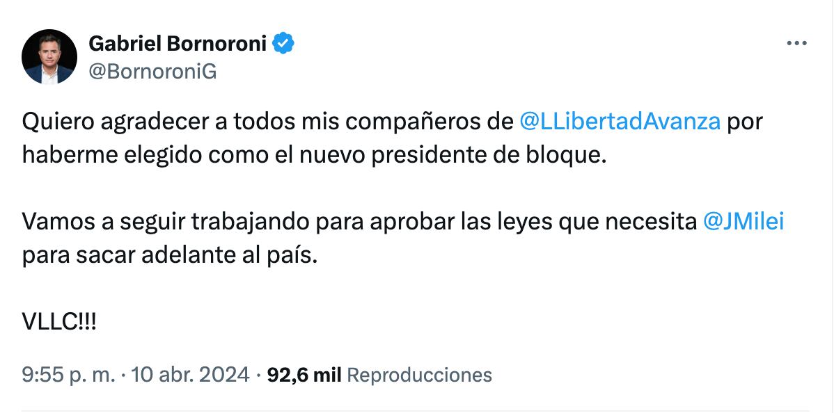 La Libertad Avanza sacó a Oscar Zago de la presidencia del bloque de Diputados y nombró a Gabriel Bornoroni