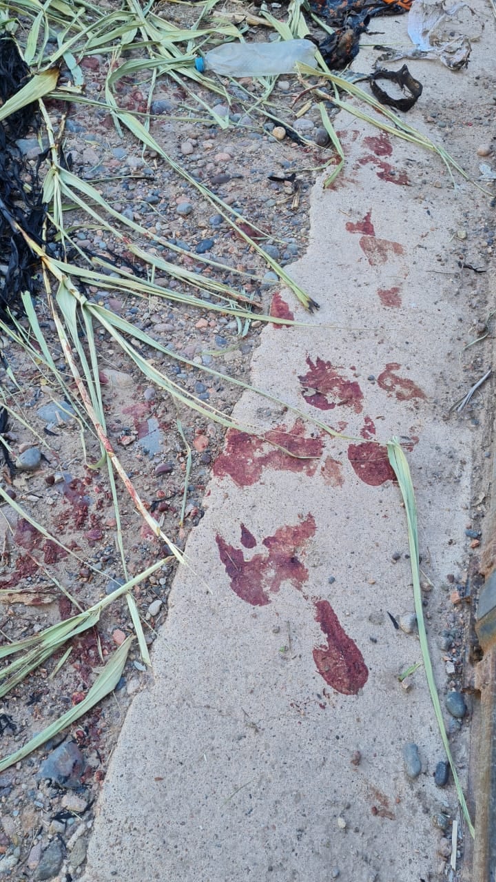 Un hombre resultó lesionado tras tatar manipular cables de media tensión en Luján de Cuyo. Foto: Prensa Seguridad Mendoza