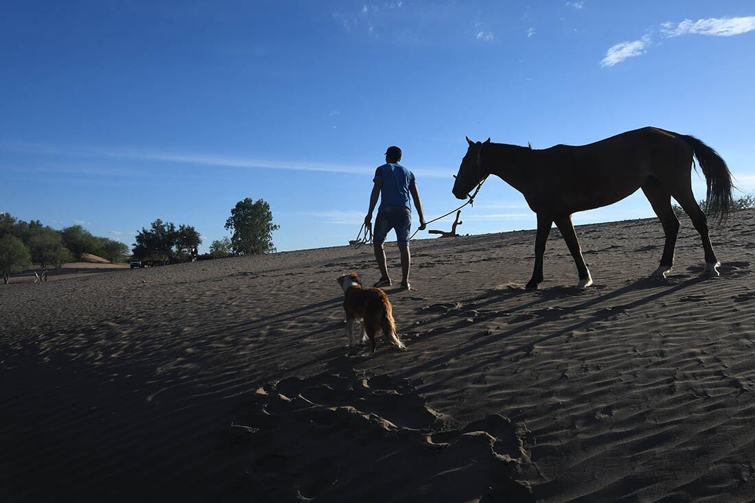 La falta de lluvias en el campo, hace que los animales mueran de sed y de hambre al no haber pasturas.