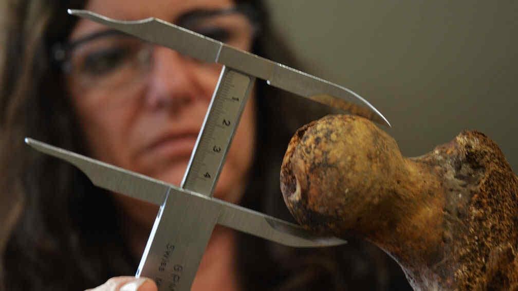 Equipo Argentino de Antropología Forense. / Foto: Bibiana Fulchieri.