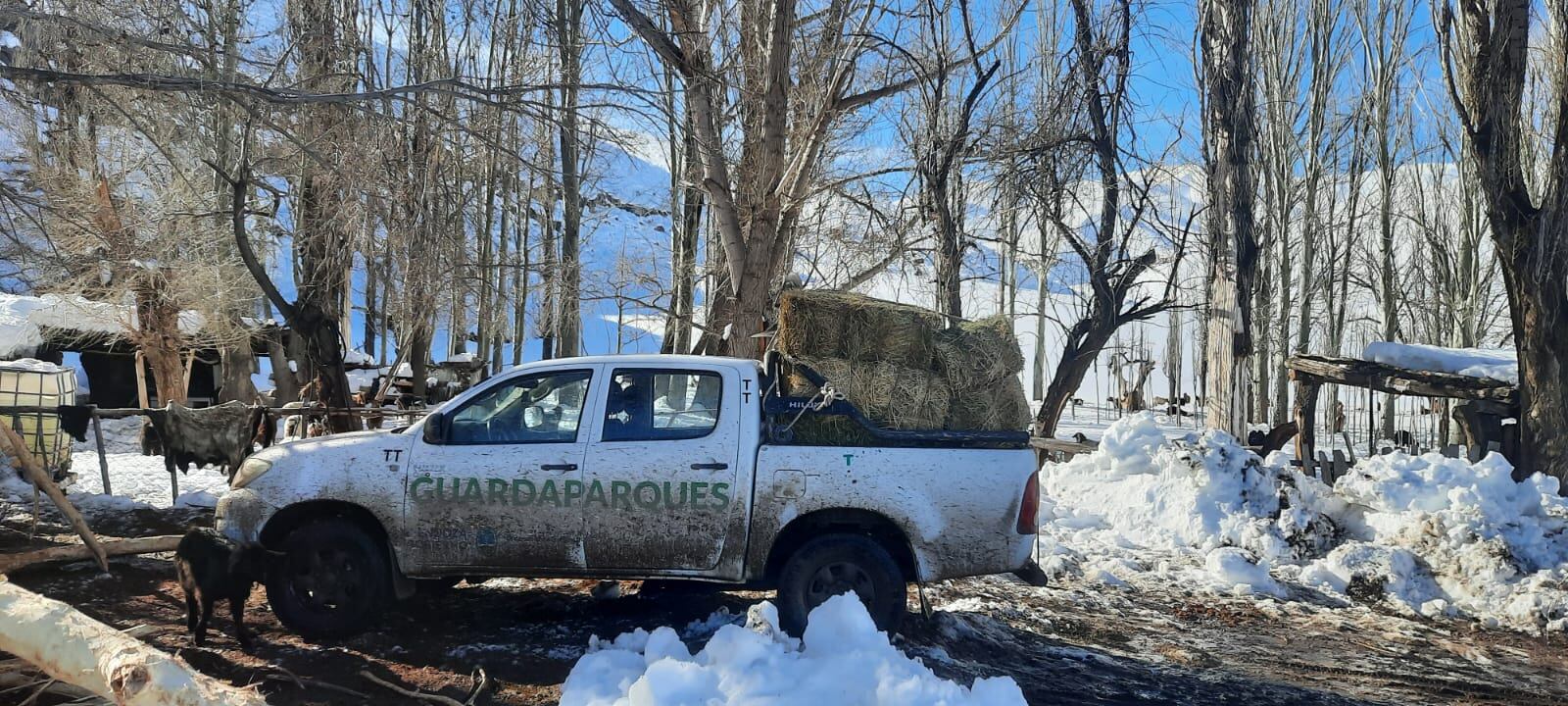 Guardaparques asistieron a familias aisladas por la nieve en el Sur. Foto: Dirección de Recusos Naturales Renovables.