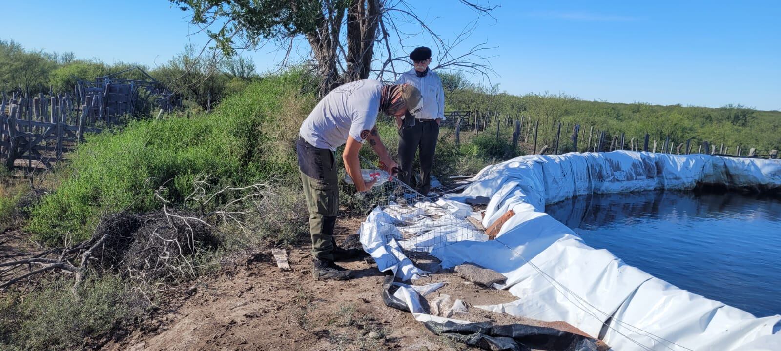 Emotivas fotos: bajó la muerte de aves y otros animales en el campo y gracias a esta simple y útil herramienta. Foto: Gentileza Departamento de Fauna Silvestre Mendoza