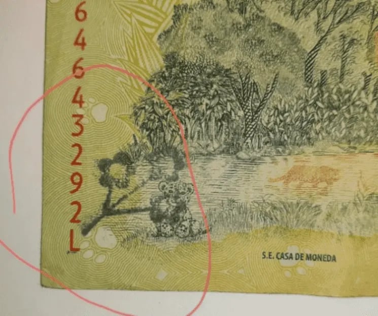 El billete que buscan los coleccionistas tiene unas flores impresas en el dorso.