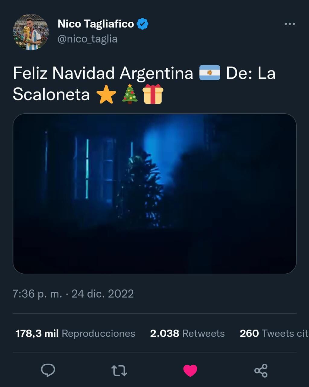 El spot navideño mendocino que festeja el Mundial y fue compartido por los campeones del mundo. Foto: Twitter @nico_taglia