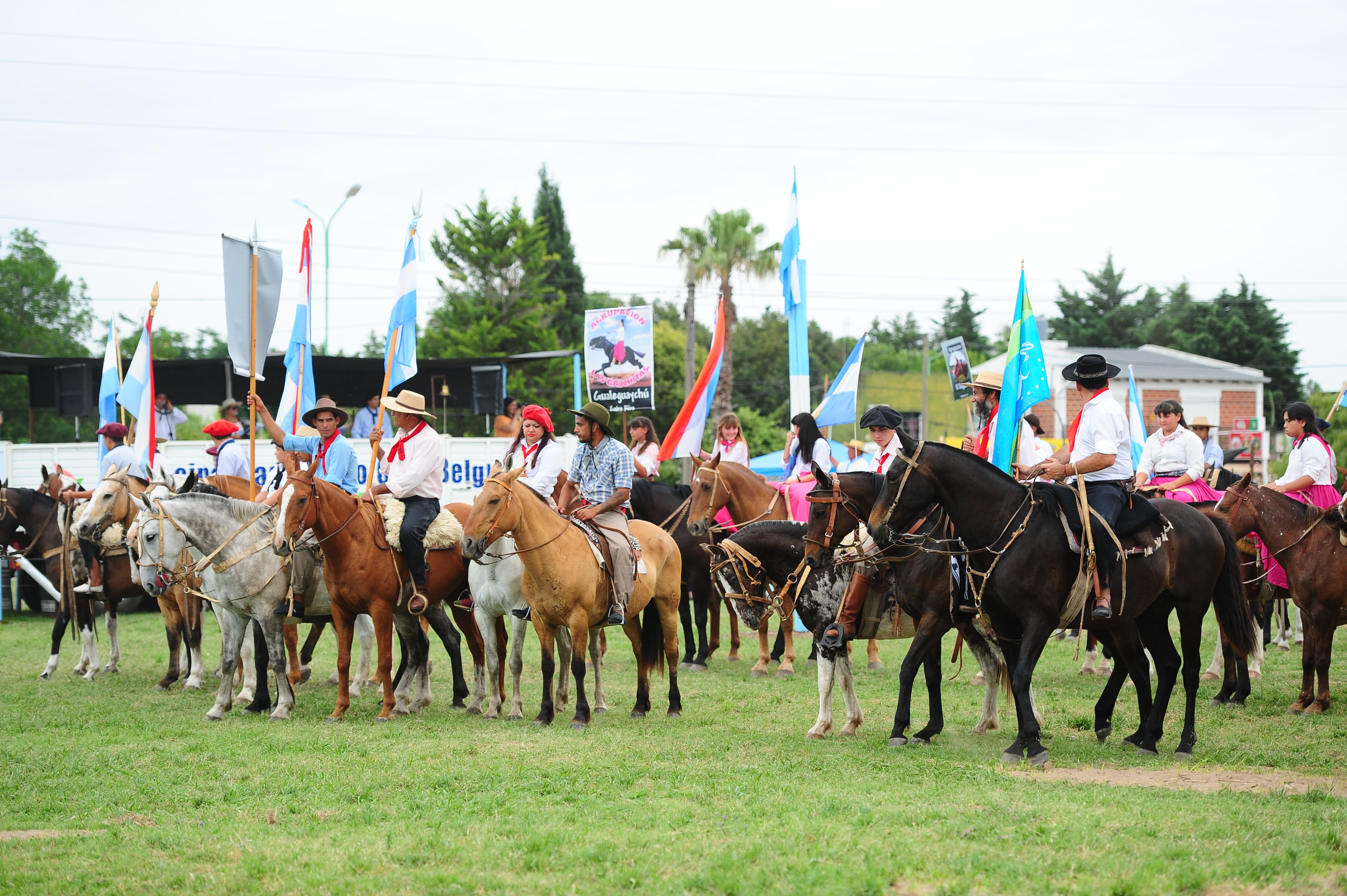 Se exigirá vacunación contra la encefalomielitis equina a los caballos que participen de eventos o actividades con concentración de animales y el costo correrá por cuenta de los propietarios. 
