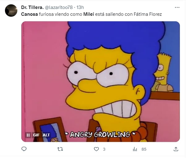 Los memes sobre Viviana Canosa y Javier Milei